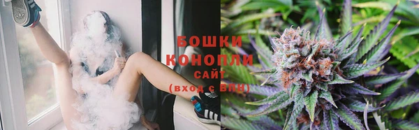 МДПВ Бронницы