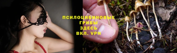 МДПВ Бронницы