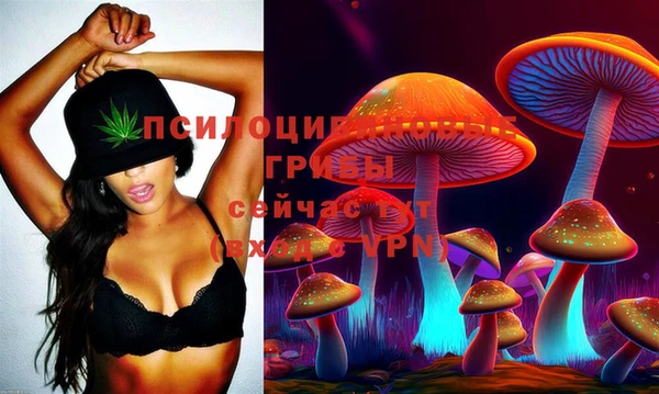 стафф Бугульма