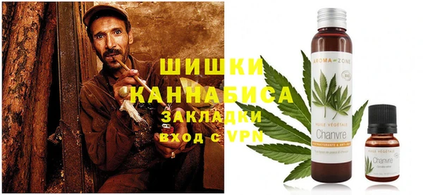 PSILOCYBIN Бородино