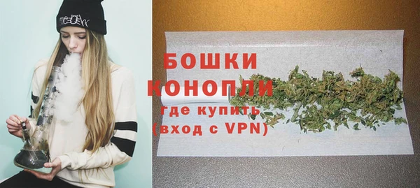 МДПВ Бронницы