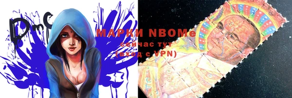 PSILOCYBIN Бородино