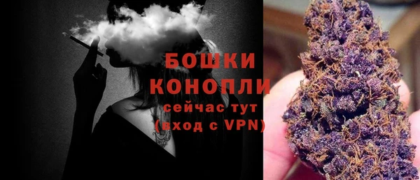 PSILOCYBIN Бородино