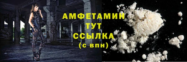 PSILOCYBIN Бородино
